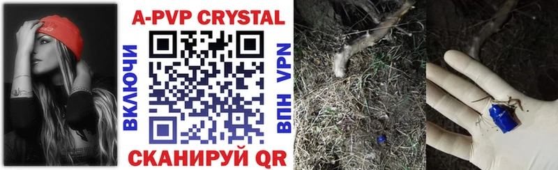 A PVP СК  Чулым 
