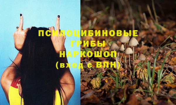 кристаллы Каменка