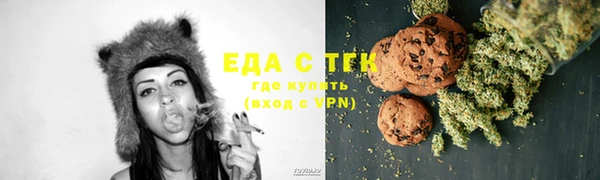 индика Инсар