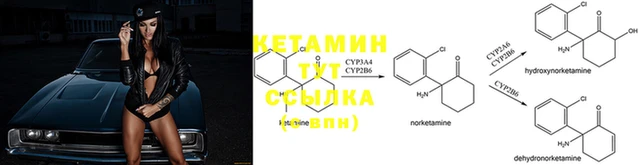 дурь Каменногорск