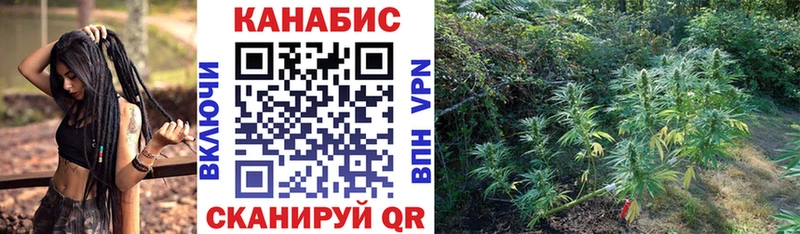где купить наркоту  Чулым  Канабис AK-47 